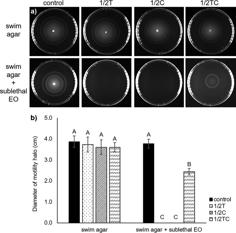 FIG 2