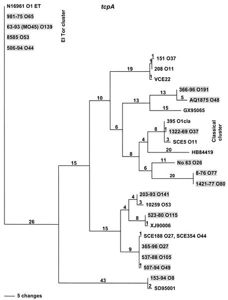 FIG. 5.