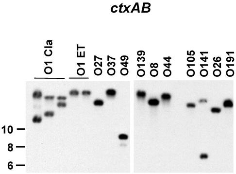 FIG. 6.