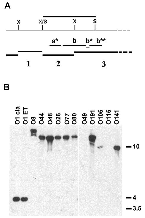 FIG. 4.