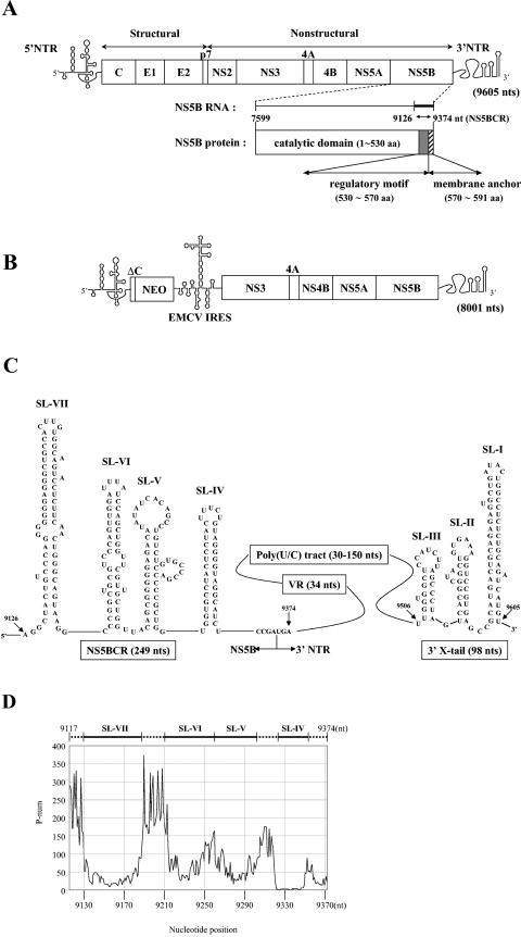 FIG.1.