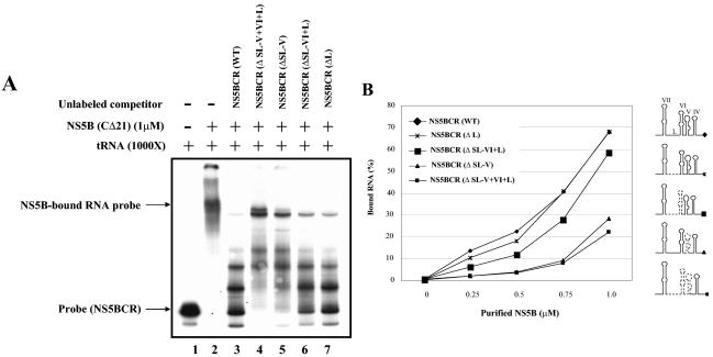 FIG. 8.