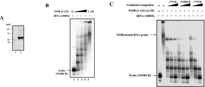 FIG. 7.