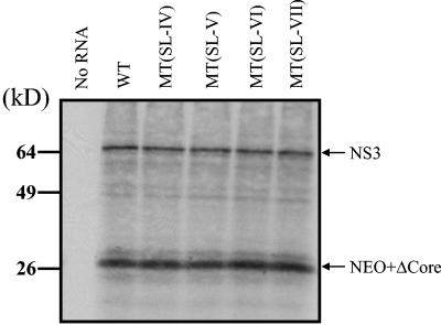 FIG. 5.