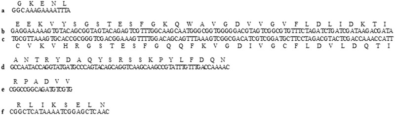 Fig.3.