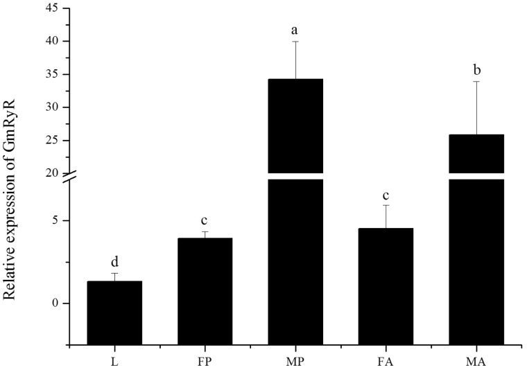 Fig. 5.