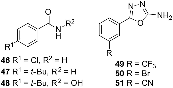 Figure 21