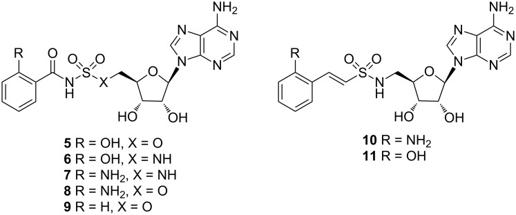 Figure 5