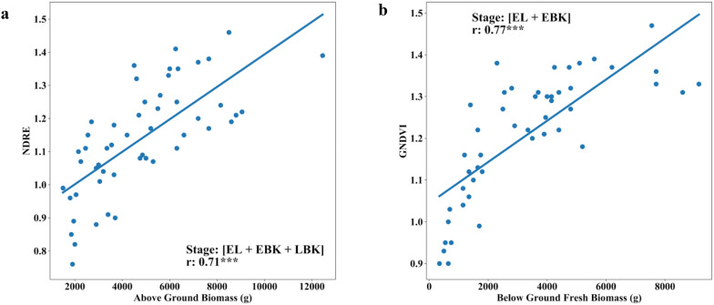 Fig. 10