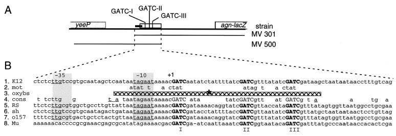 FIG. 7.