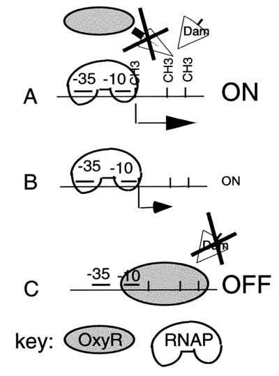 FIG. 8.