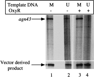 FIG. 6.