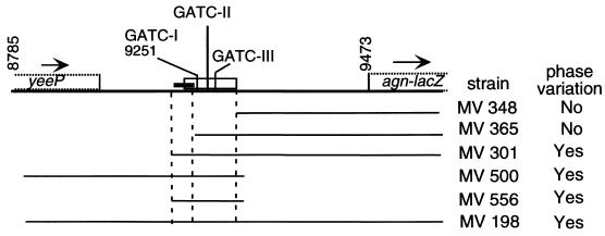 FIG. 4.