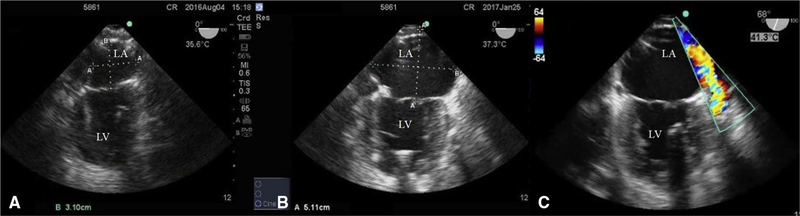 FIGURE 3.