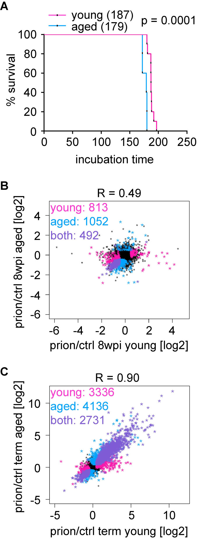 Fig 5