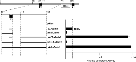 FIG. 3.