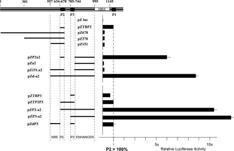 FIG. 1.