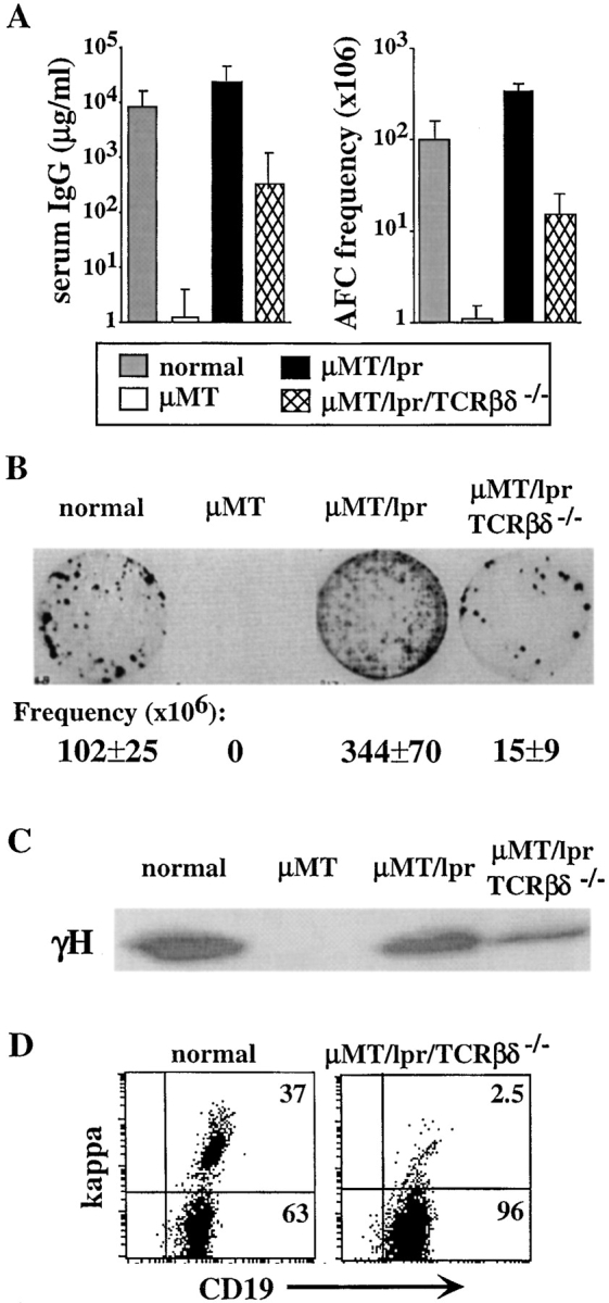 Figure 7.