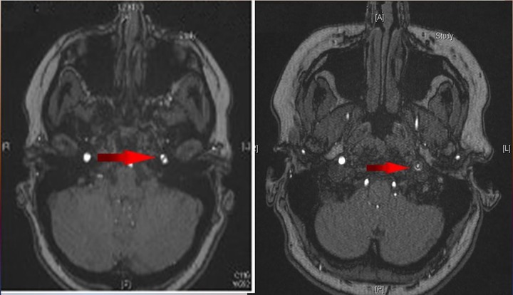 Figure 2