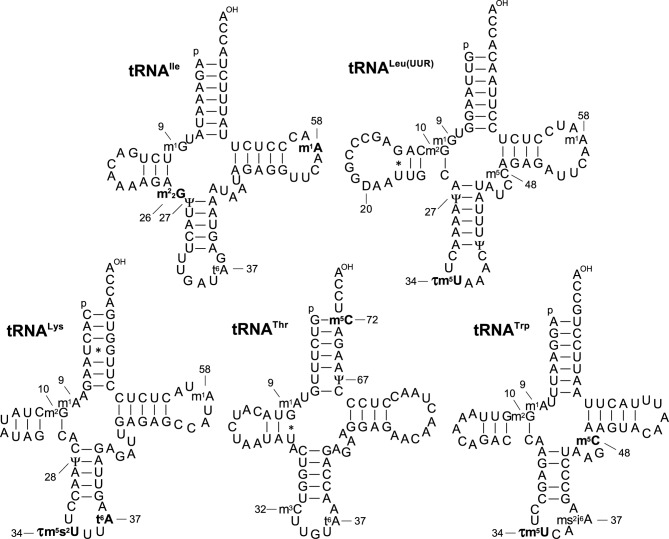 Figure 3.