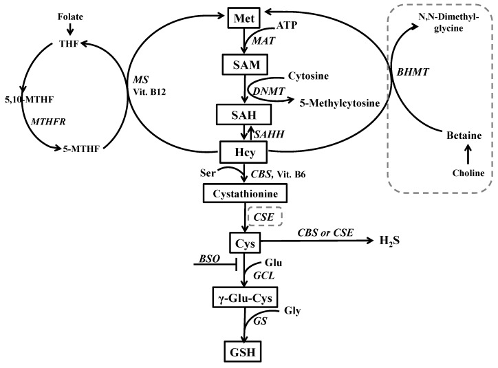 Figure 10