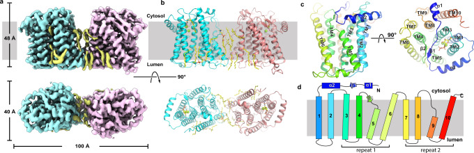 Fig. 2