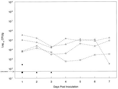 FIG. 3