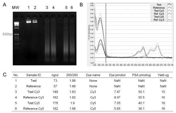 Comparative Genomic Hybridization: DNA labeling, hybridization and ...