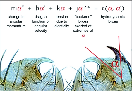 Figure 9. 