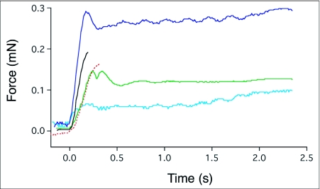 Figure 6. 