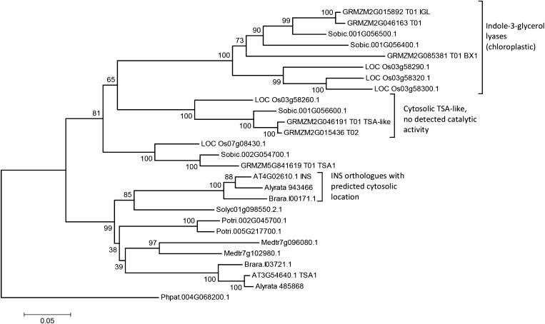 Figure 3.