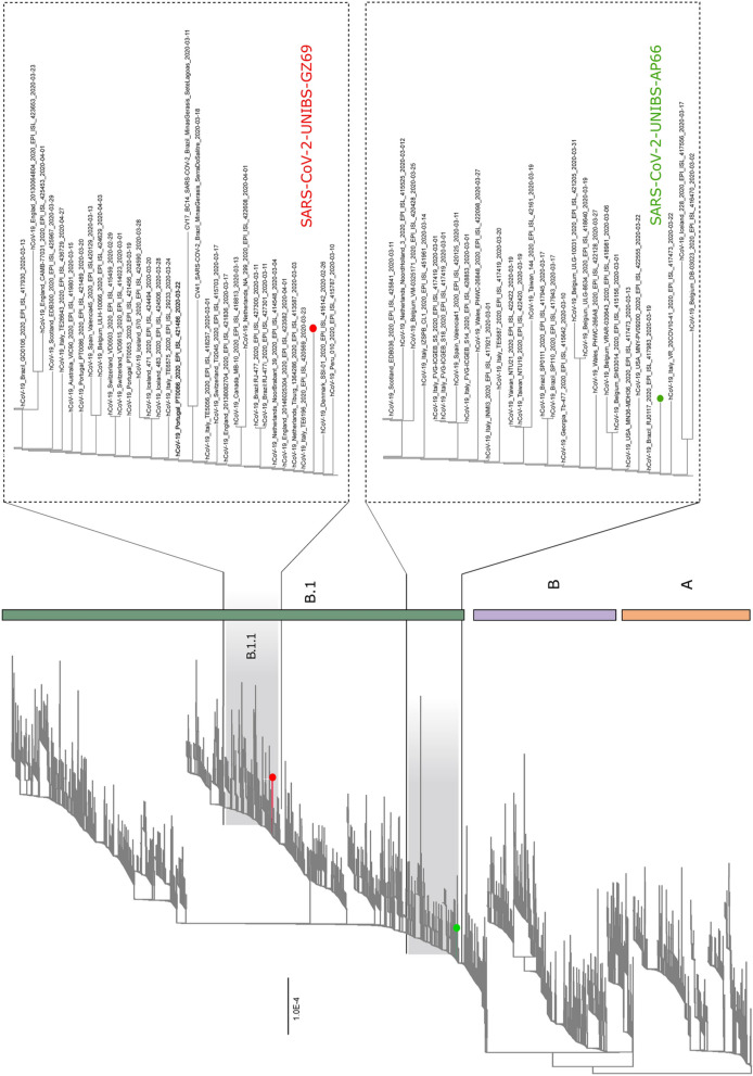 Fig. 3