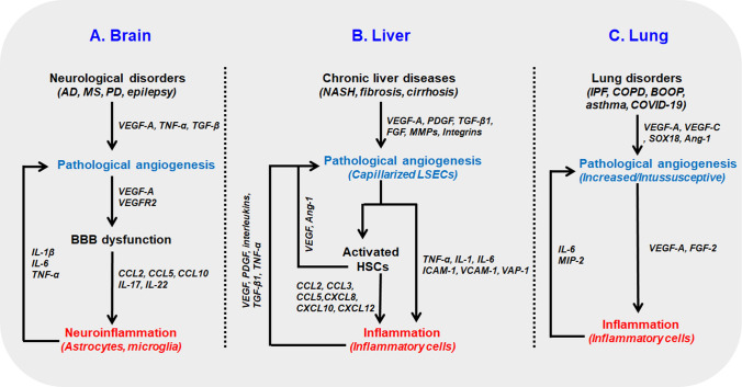 Fig. 2