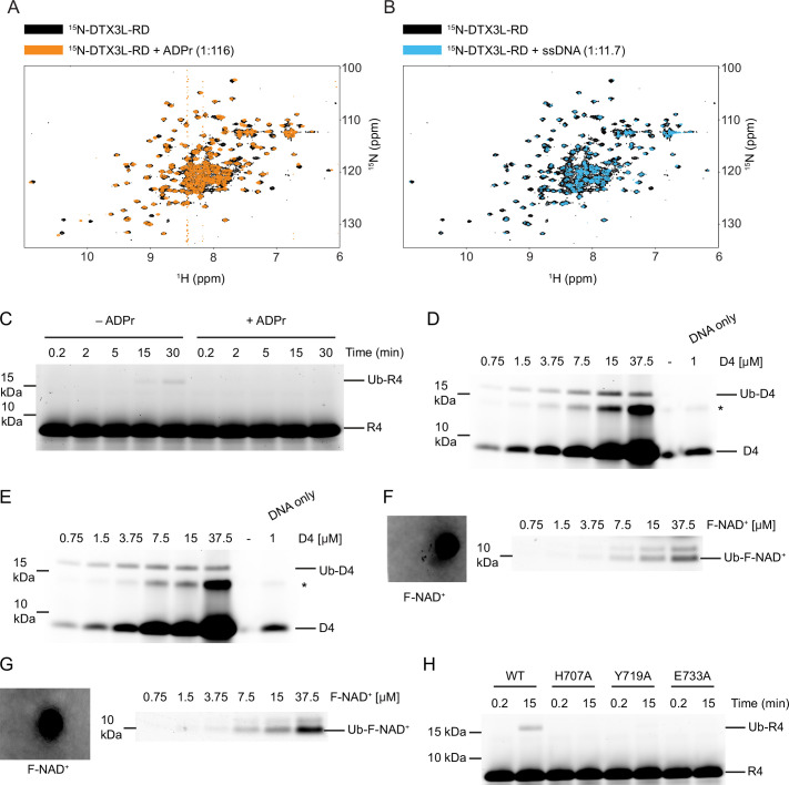 Figure 4—figure supplement 1.