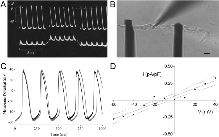 Fig. 1