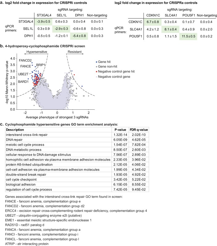 Figure 5—figure supplement 1.