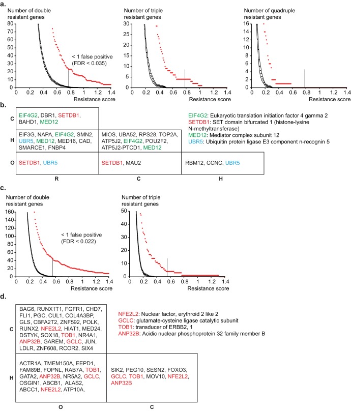 Figure 7—figure supplement 1.