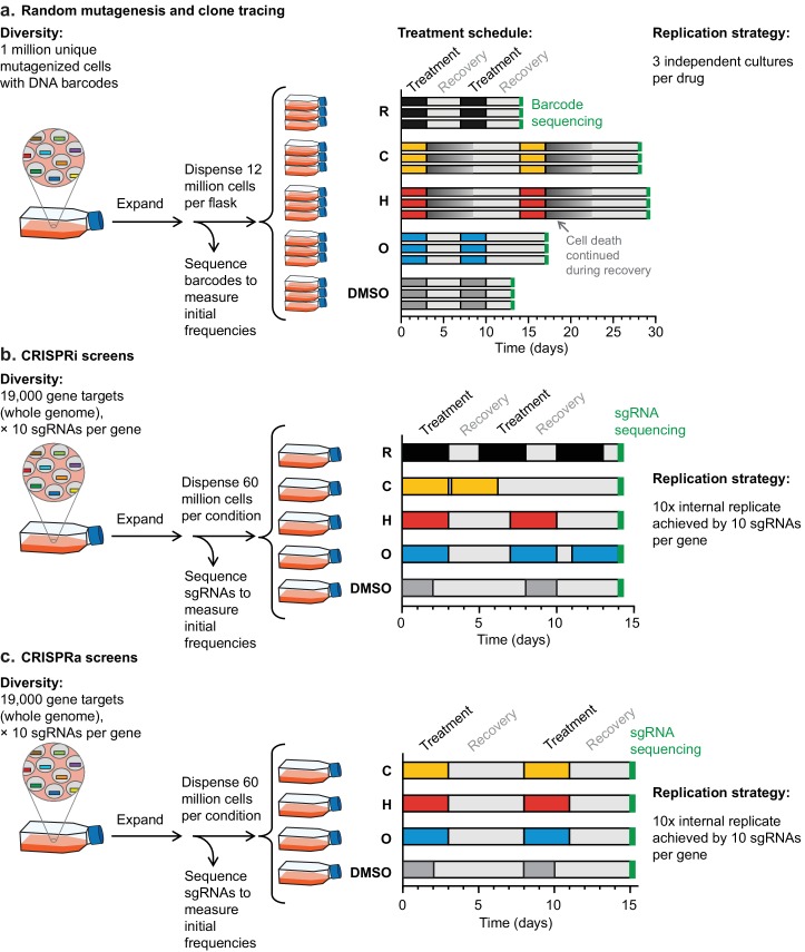 Figure 3—figure supplement 1.