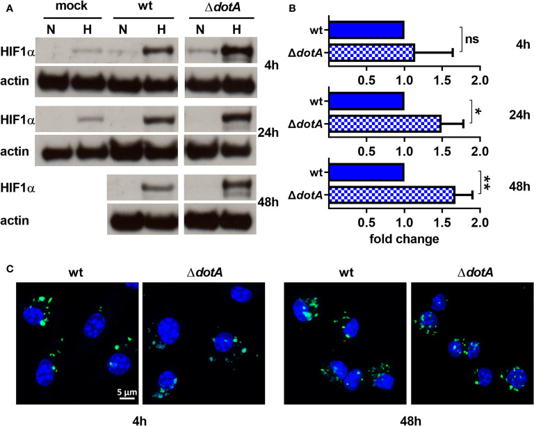 Figure 4