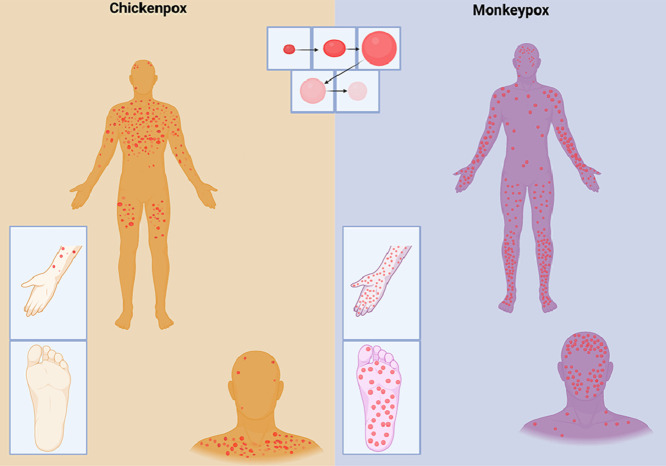 Image, graphical abstract