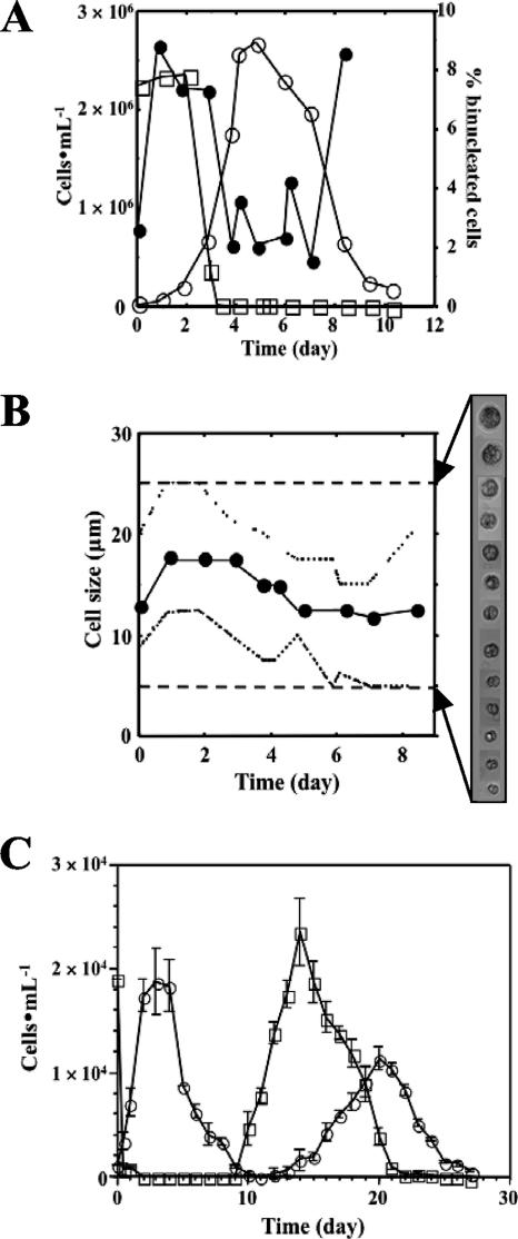 FIG. 1.