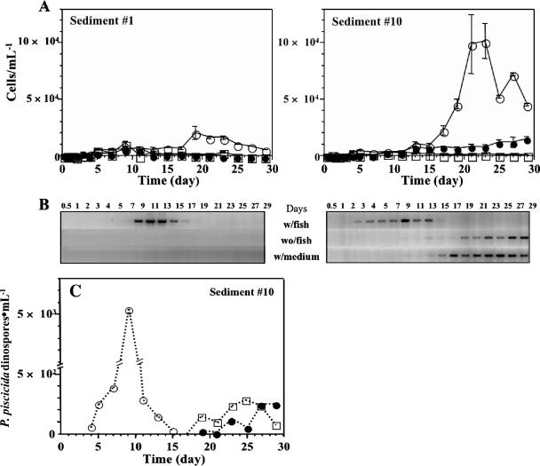 FIG. 7.