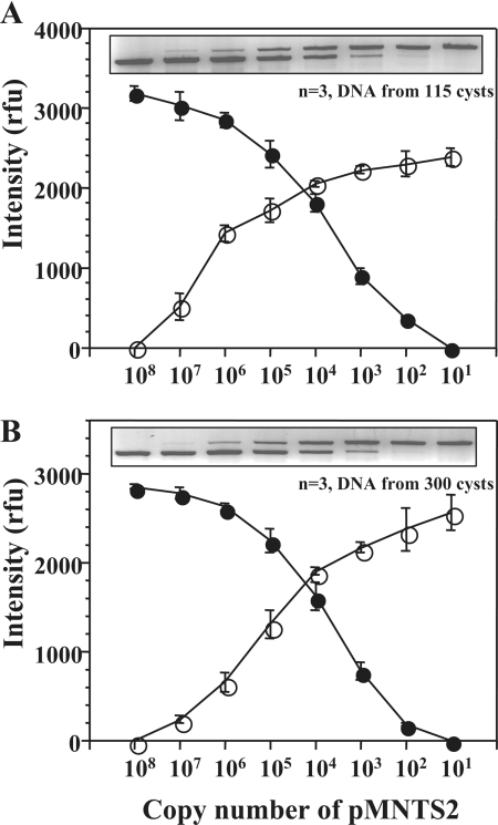 FIG. 5.