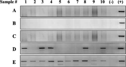 FIG. 6.