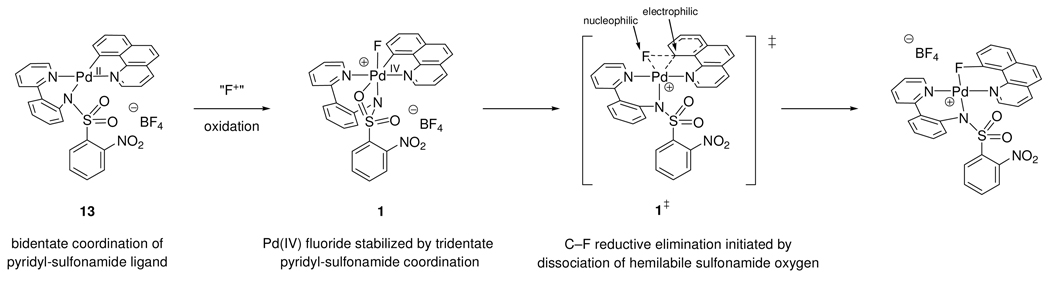 Scheme 5