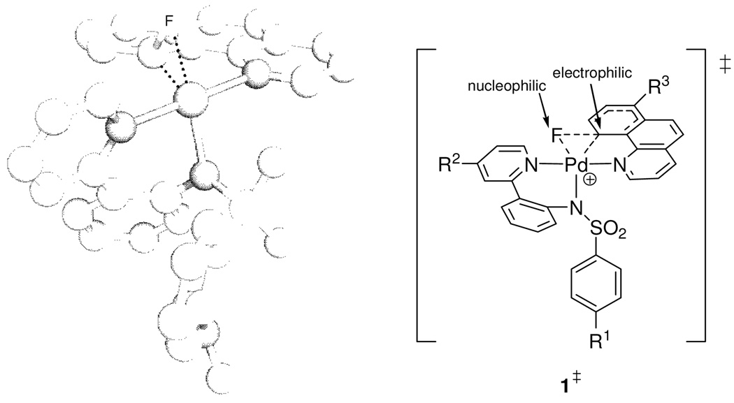 Figure 19