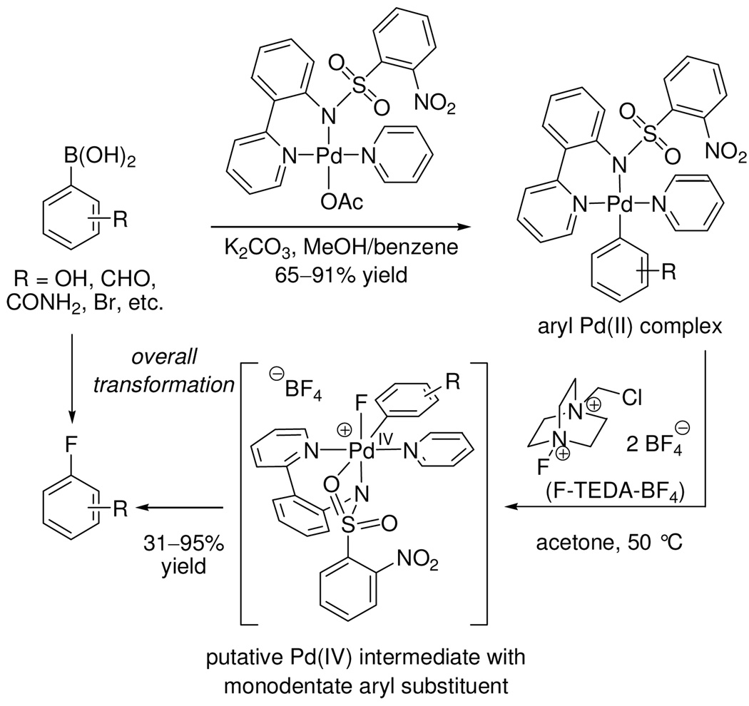 Scheme 1