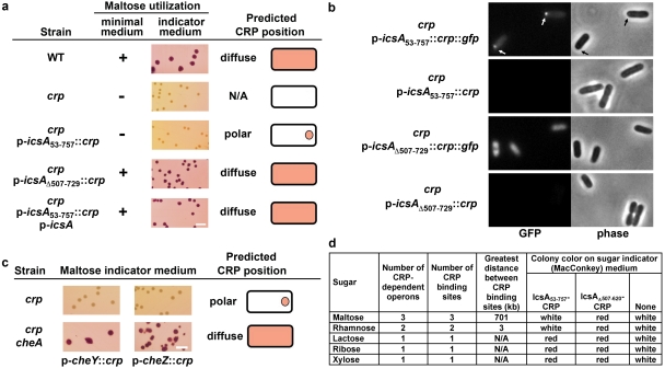 FIG 1 