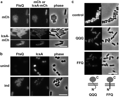 FIG 4 