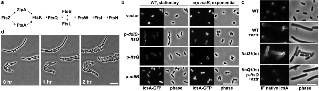 FIG 3 